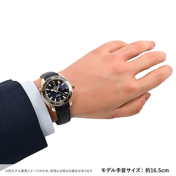 オメガ シーマスター偽物 プラネットオーシャン 232.63.38.20.01.001